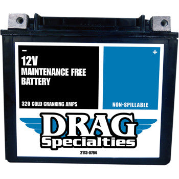 Factory-Activated High-Performance AGM Maintenance-Free Battery - YTX20HL FT